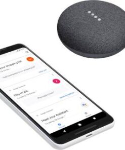 Google Nest Mini 2nd generation Portable Bluetooth Speaker